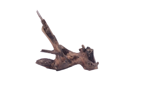  Driftwood for Aquarium original Teak wood 22 Cm Height  