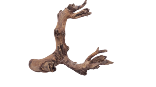 Driftwood for Aquarium original Teak wood 22 Cm Height