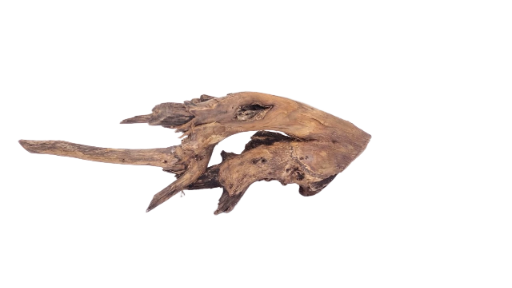 Driftwood for Aquarium original Teak wood 42 Cm length