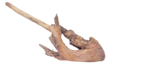 Driftwood for Aquarium original Teak wood 42 Cm length