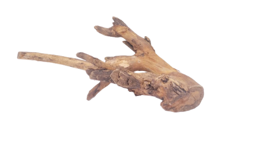 Driftwood for Aquarium original Teak wood 42 Cm length