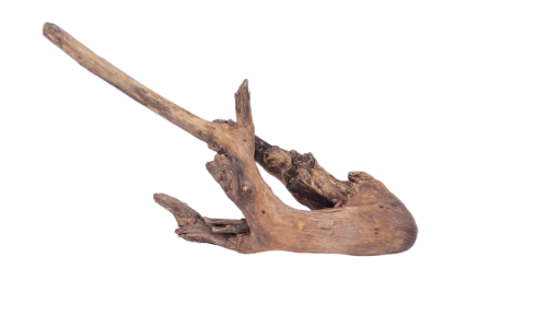 Driftwood for Aquarium original Teak wood 42 Cm length