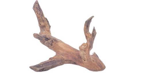 Driftwood for Aquarium original Teak wood 22 Cm Height