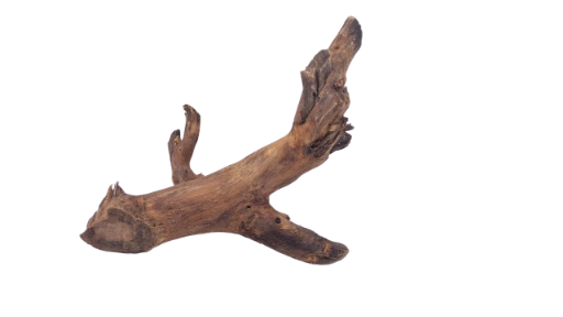 Driftwood for Aquarium original Teak wood 22 Cm Height