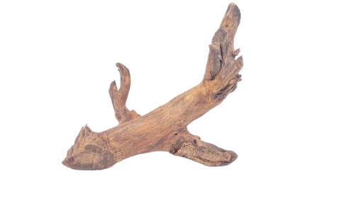 Driftwood for Aquarium original Teak wood 22 Cm Height