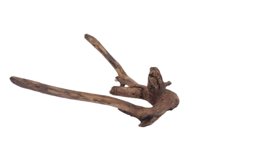Driftwood for Aquarium original Teak wood 32 Cm Height  