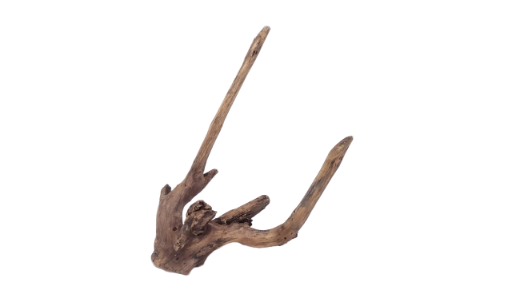 Driftwood for Aquarium original Teak wood 32 Cm Height  