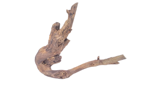 Driftwood for Aquarium original Teak wood 33 Cm Height  