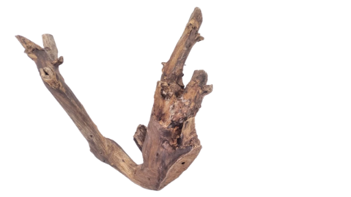 Driftwood for Aquarium original Teak wood 33 Cm Height  