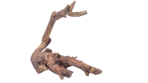 Driftwood for Aquarium original Teak wood 33 Cm Height  