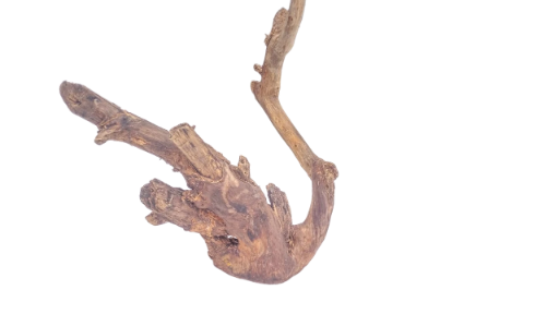 Driftwood for Aquarium original Teak wood 33 Cm Height  