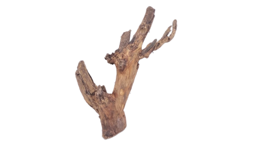 Driftwood for Aquarium original Teak wood 25 Cm Height