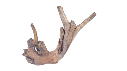 Driftwood for Aquarium original Teak wood 24 Cm Height