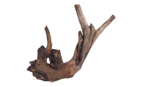 Driftwood for Aquarium original Teak wood 24 Cm Height