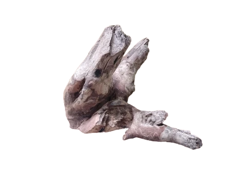 Driftwood For Aquarium Original Teak wood 24 Cm Long solid branch
