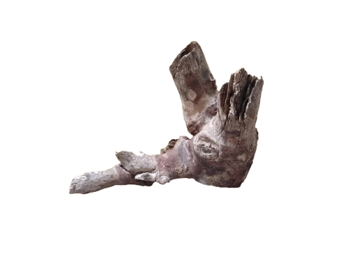 Driftwood For Aquarium Original Teak wood 24 Cm Long solid branch