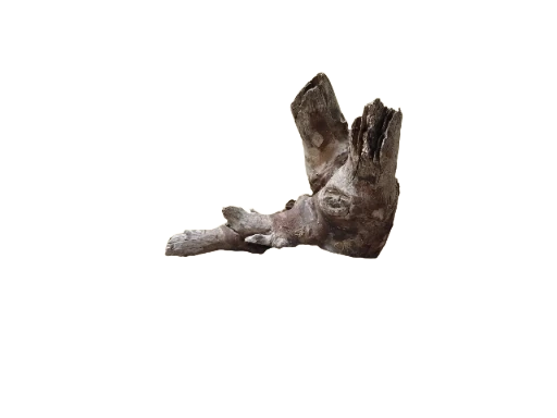 Driftwood For Aquarium Original Teak wood 24 Cm Long solid branch