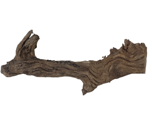 Driftwood For Aquarium Branch wood 70 Cm Long  