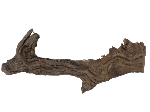 Driftwood For Aquarium Branch wood 70 Cm Long  