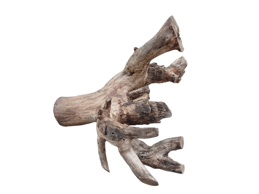 Driftwood For Aquarium Original Teak wood 40 Cm Long and 2.6 Kg weight 