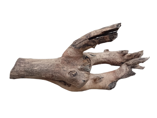 Driftwood For Aquarium Original Teak wood 60 Cm Long and 4.2 Kg weight 