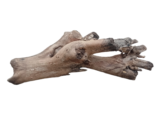 Driftwood For Aquarium Original Teak wood 60 Cm Long and 4.2 Kg weight 
