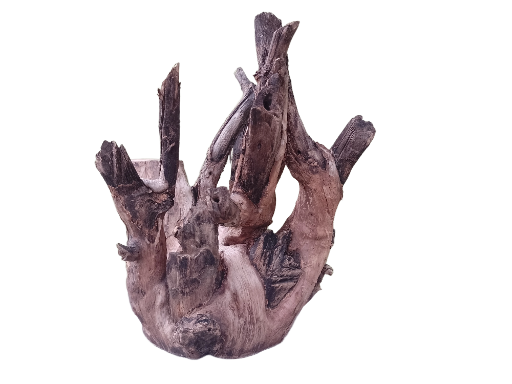 Driftwood For Aquarium Original Teak wood 32 Cm Height and 2.4 Kg 