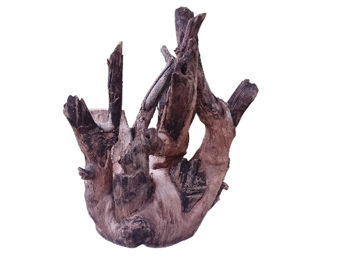 Driftwood For Aquarium Original Teak wood 32 Cm Height and 2.4 Kg 