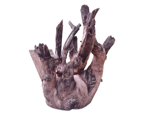 Driftwood For Aquarium Original Teak wood 32 Cm Height and 2.4 Kg 