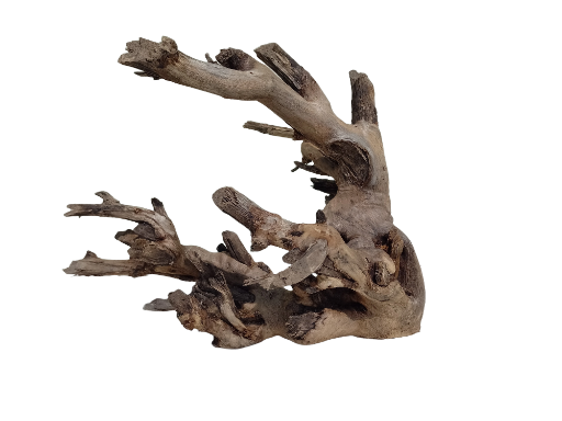Driftwood For Aquarium Original Teak wood Branch 50 cm long and 2.5 kg weight  