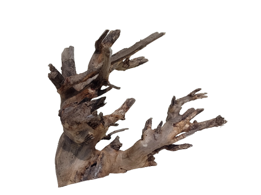 Driftwood For Aquarium Original Teak wood Branch 50 cm long and 2.5 kg weight  