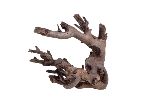 Driftwood For Aquarium Original Teak wood Branch 50 cm long and 2.5 kg weight  