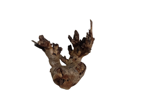 Decorative Wooden Driftwood Teak wood Branch 23 cm Length 