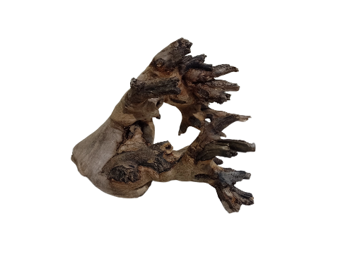 Decorative Wooden Driftwood Teak wood Branch 23 cm Length 