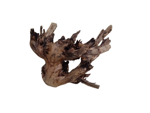 Natural Driftwood Teak Branch 30 cm long and 1.3 kg weight 
