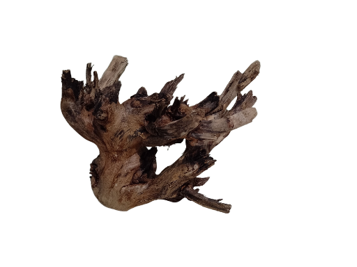 Natural Driftwood Teak Branch 30 cm long and 1.3 kg weight 