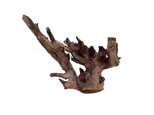 Natural Driftwood Teak Branch 30 cm long and 1.3 kg weight 