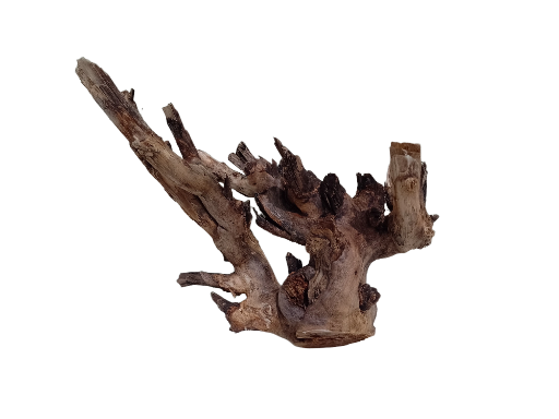 Natural Driftwood Teak Branch 30 cm long and 1.3 kg weight 