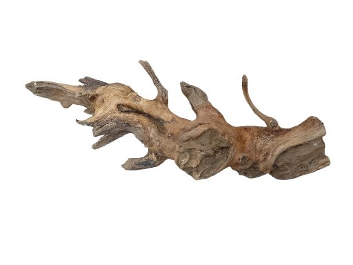 Driftwood for Aquarium original Teak wood Small Branch 25 cm long 