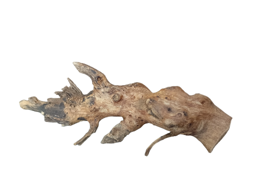 Driftwood for Aquarium original Teak wood Small Branch 25 cm long 