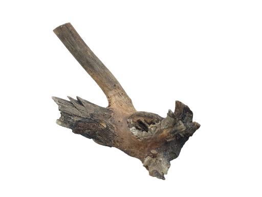Driftwood for Aquarium original Teak wood Small Branch 20 cm long 
