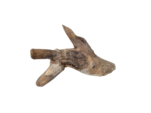 Driftwood for Aquarium original Teak wood Small Branch 18 cm long 