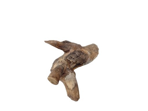 Driftwood for Aquarium original Teak wood Small Branch 18 cm long 