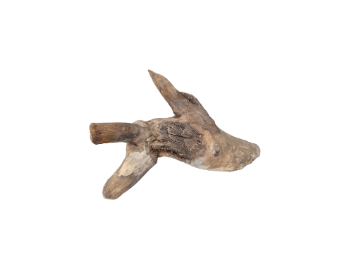 Driftwood for Aquarium original Teak wood Small Branch 18 cm long 