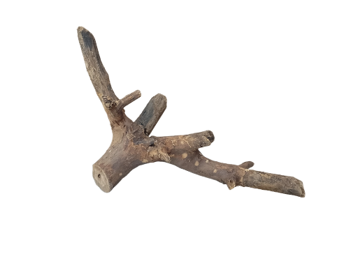 Driftwood for Aquarium original Teak wood Small Branch 20 cm long 