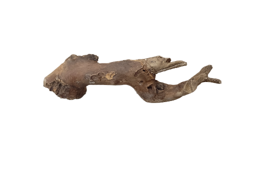 Driftwood for Aquarium original Teak wood Small Branch 25 cm long 
