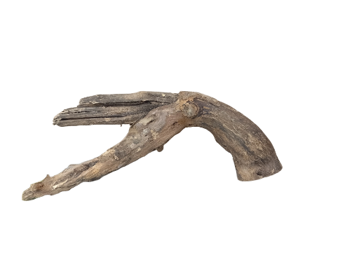 Driftwood for Aquarium original Teak wood Small Branch 25 cm long 