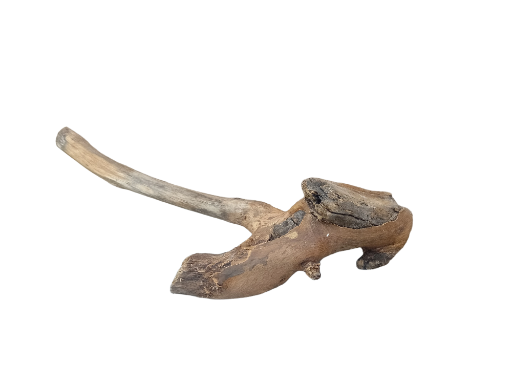 Driftwood for Aquarium original Teak wood Small Branch 20 cm long 