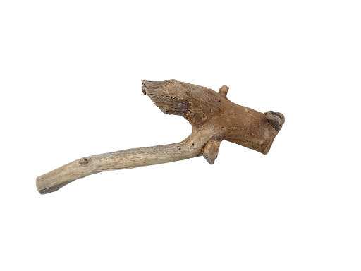 Driftwood for Aquarium original Teak wood Small Branch 20 cm long 