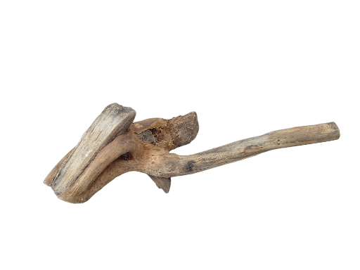 Driftwood for Aquarium original Teak wood Small Branch 20 cm long 